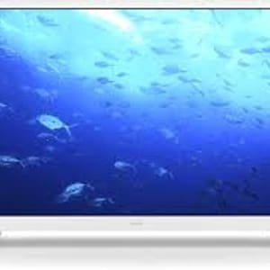 Philips 24PHS5537/12  kompaktni 24" HD Ready LED TV